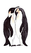 Открытка «Пингвинья любовь»