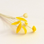 Набор для лилии желтый (6 тычинок + пестик)